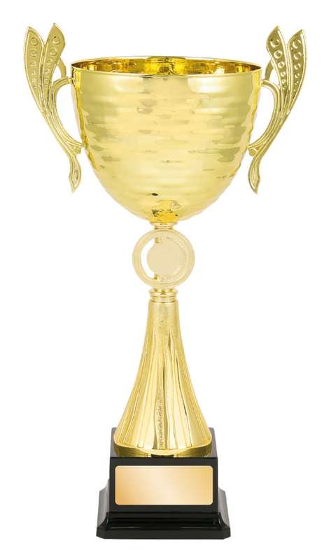 Metal Cup Trophy