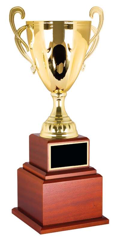 Metal Cup Trophy
