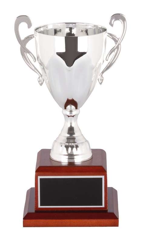 Metal Cup Trophy