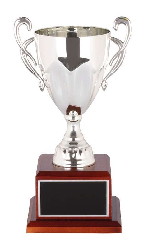 Metal Cup Trophy