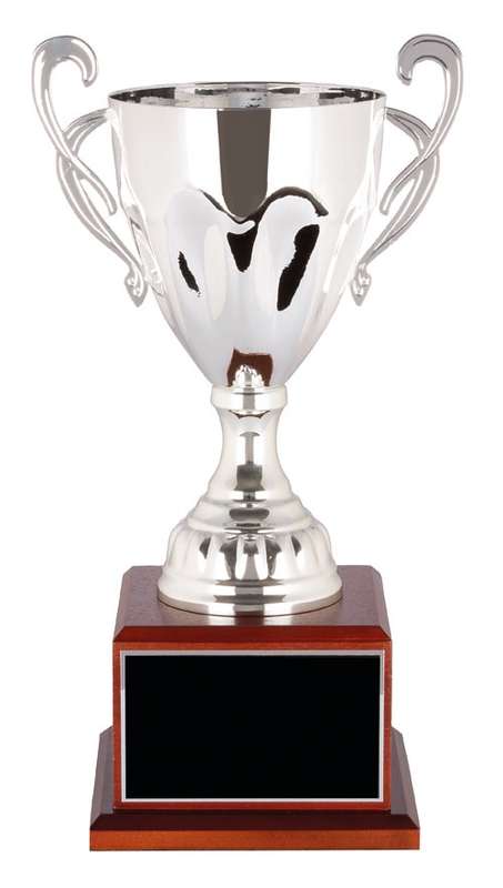 Metal Cup Trophy