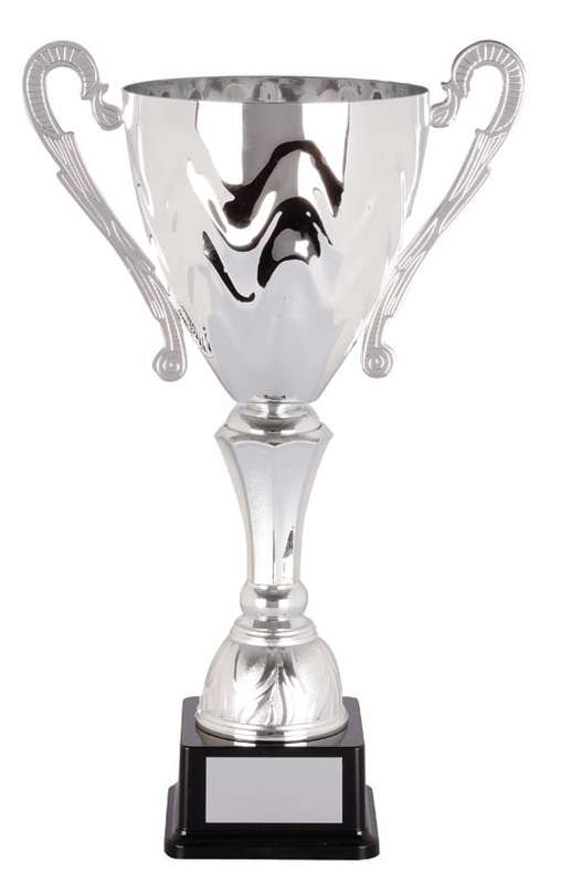 DISCONTINUED - Metal Cup Trophy