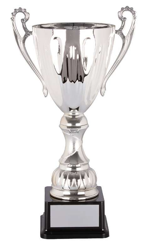 Metal Cup Trophy
