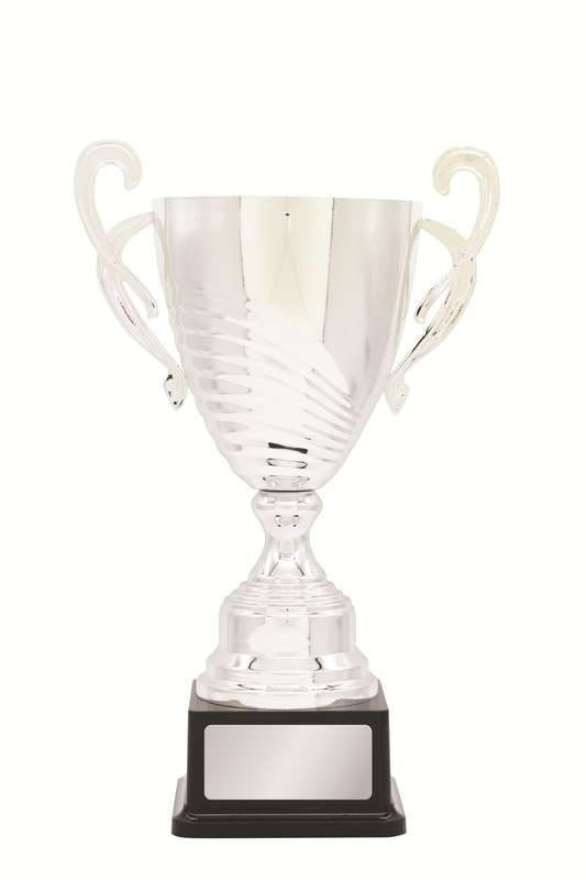 Metal Cup Trophy