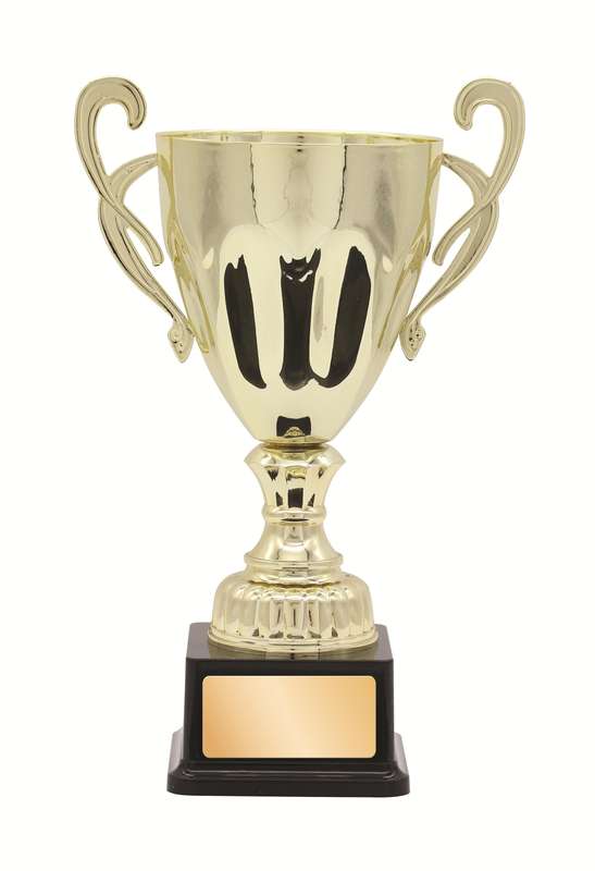 Metal Cup Trophy