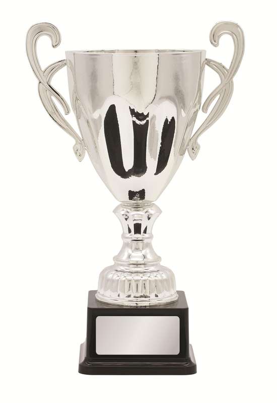 Metal Cup Trophy