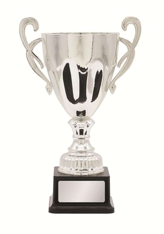 Metal Cup Trophy
