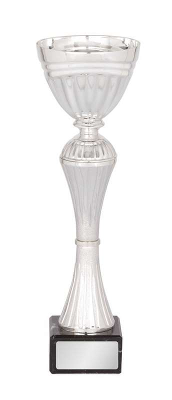 Metal Bowl Trophy