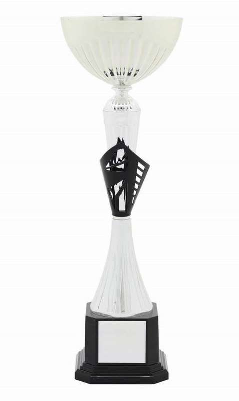 Metal Bowl Trophy