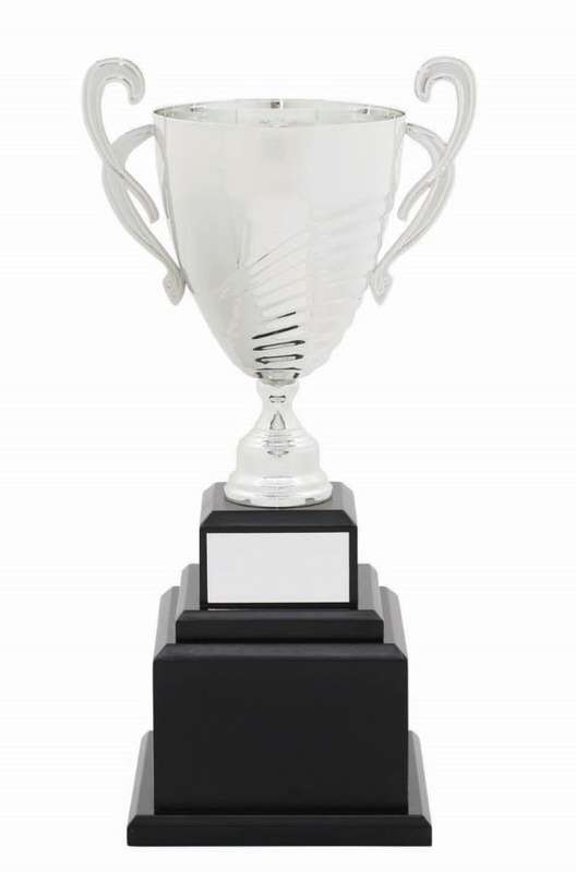 Metal Cup Trophy