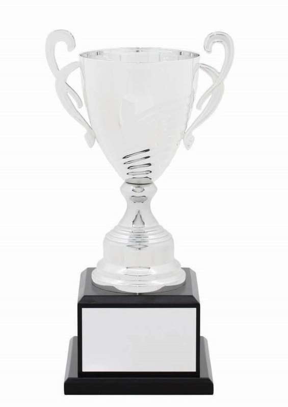 Metal Cup Trophy