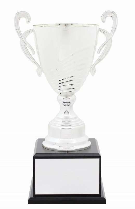 Metal Cup Trophy