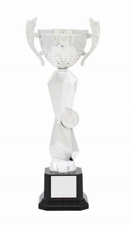 Metal Cup Trophy