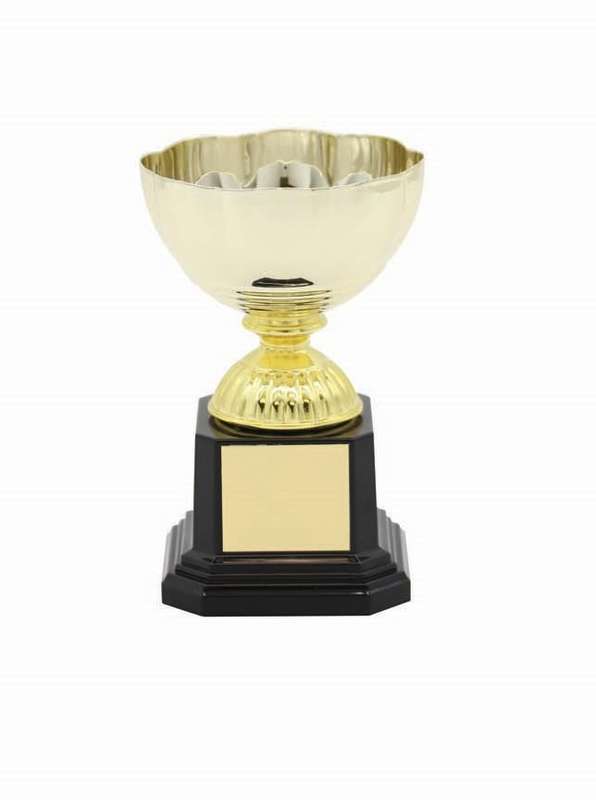 Metal Cup Trophy