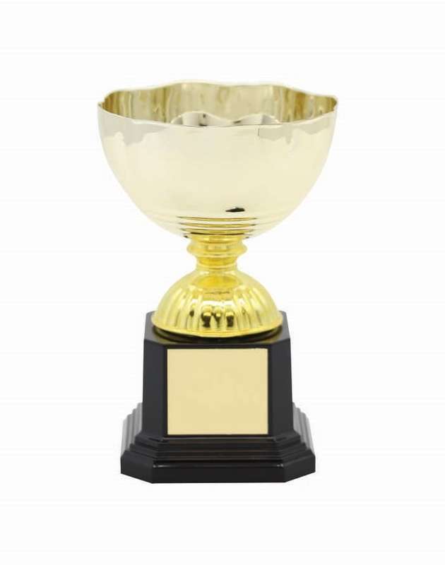 Metal Cup Trophy