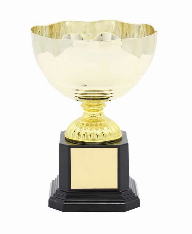 Metal Cup Trophy