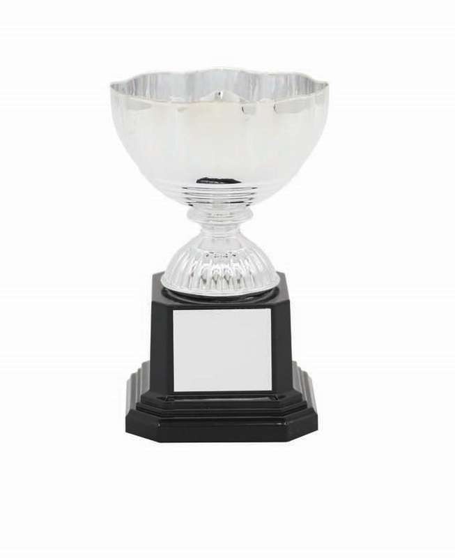 Metal Cup Trophy