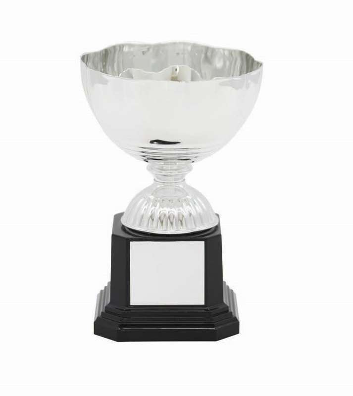 Metal Cup Trophy