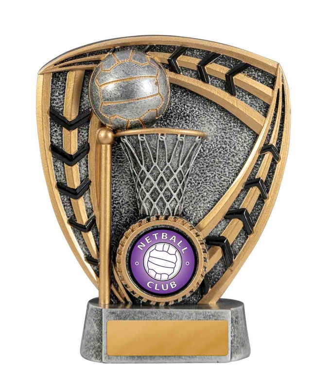 Netball Trophy 120mm