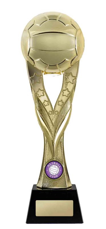 Netball Trophy 260mm