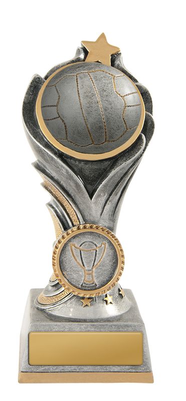 Netball Trophy 200mm