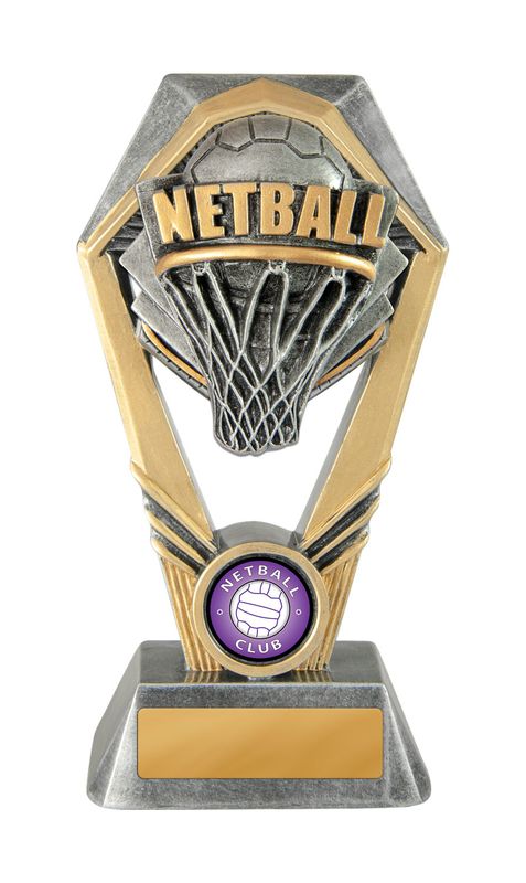 Netball Trophy 230mm