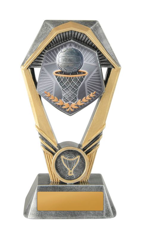 Netball Trophy 230mm