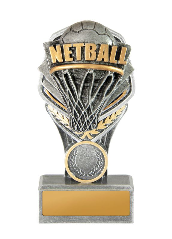 Netball Trophy 240mm