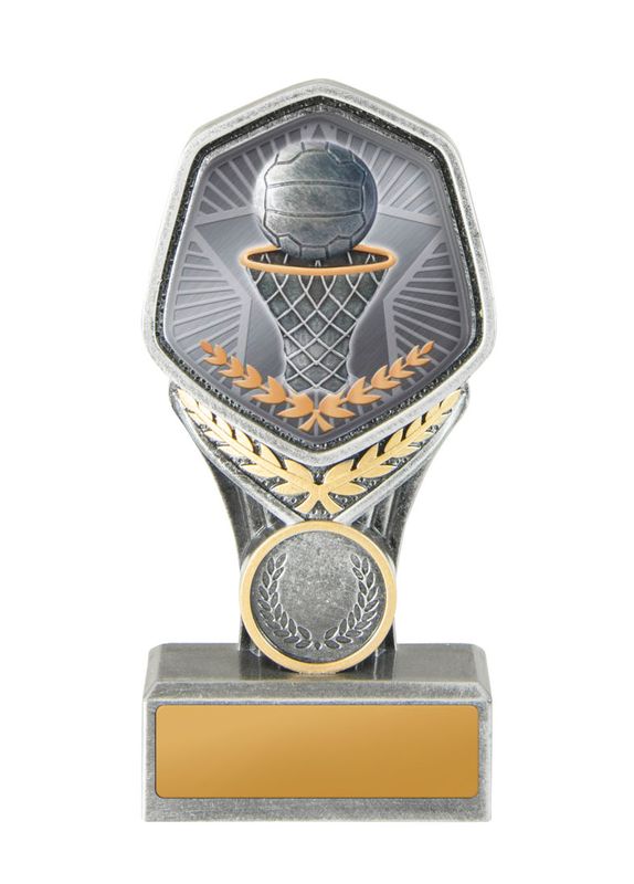 Netball Trophy 240mm