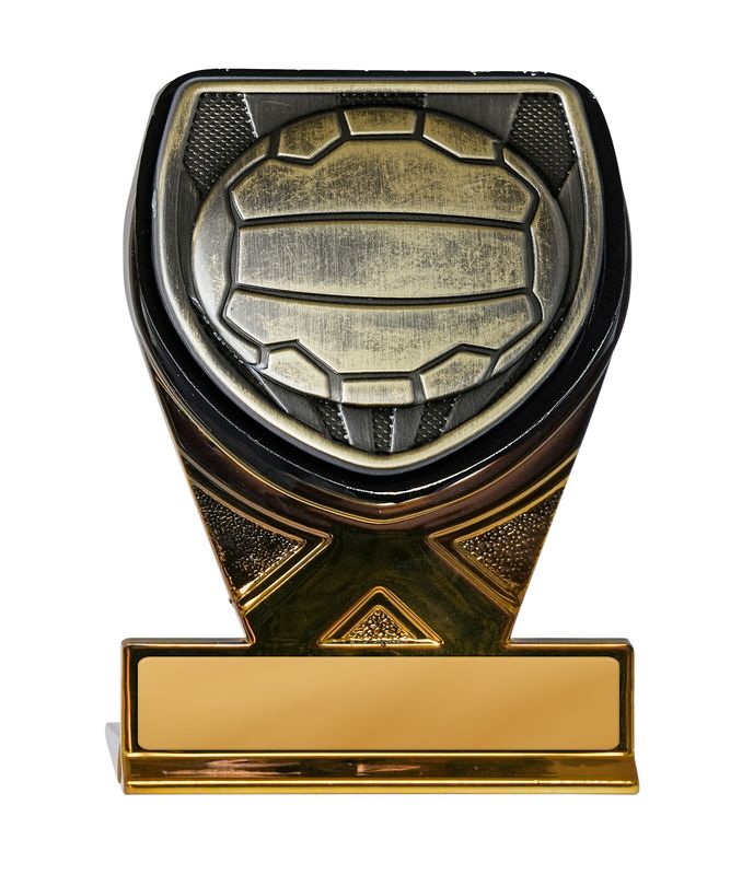 Netball Trophy 225mm