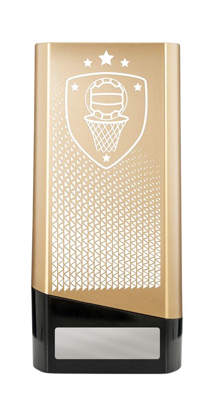 Netball Trophy 220mm