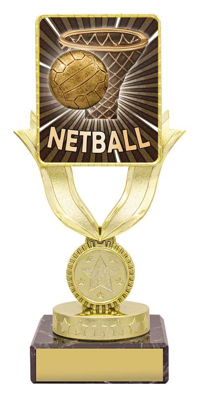 Lynx Bold - Netball